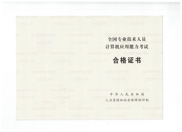 专业技术人员计算机应用能力考试 电脑与软件开发的核心考查与应对策略